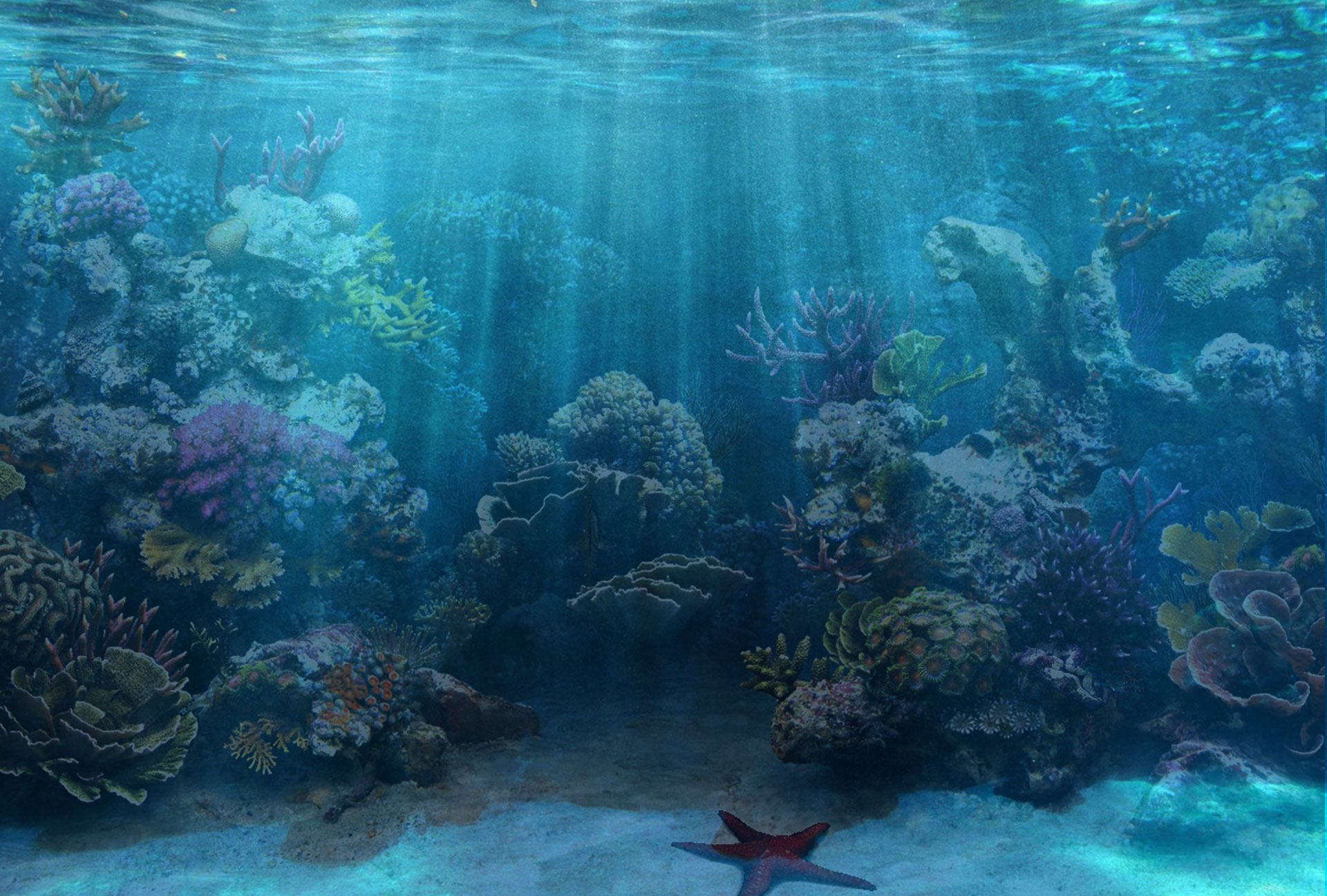 50+ Best Aquarium Backgrounds Free & Premium Templates